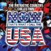 Now That's What I Call the USA: The Patriotic Country Collection (2010)